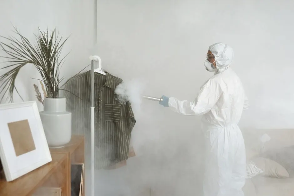 Environmentally Friendly Insulation Removal